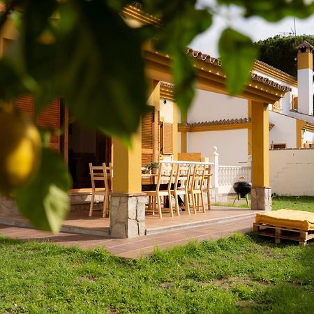 Namawa Surfhouse Hostel Chiclana de la Frontera Kültér fotó