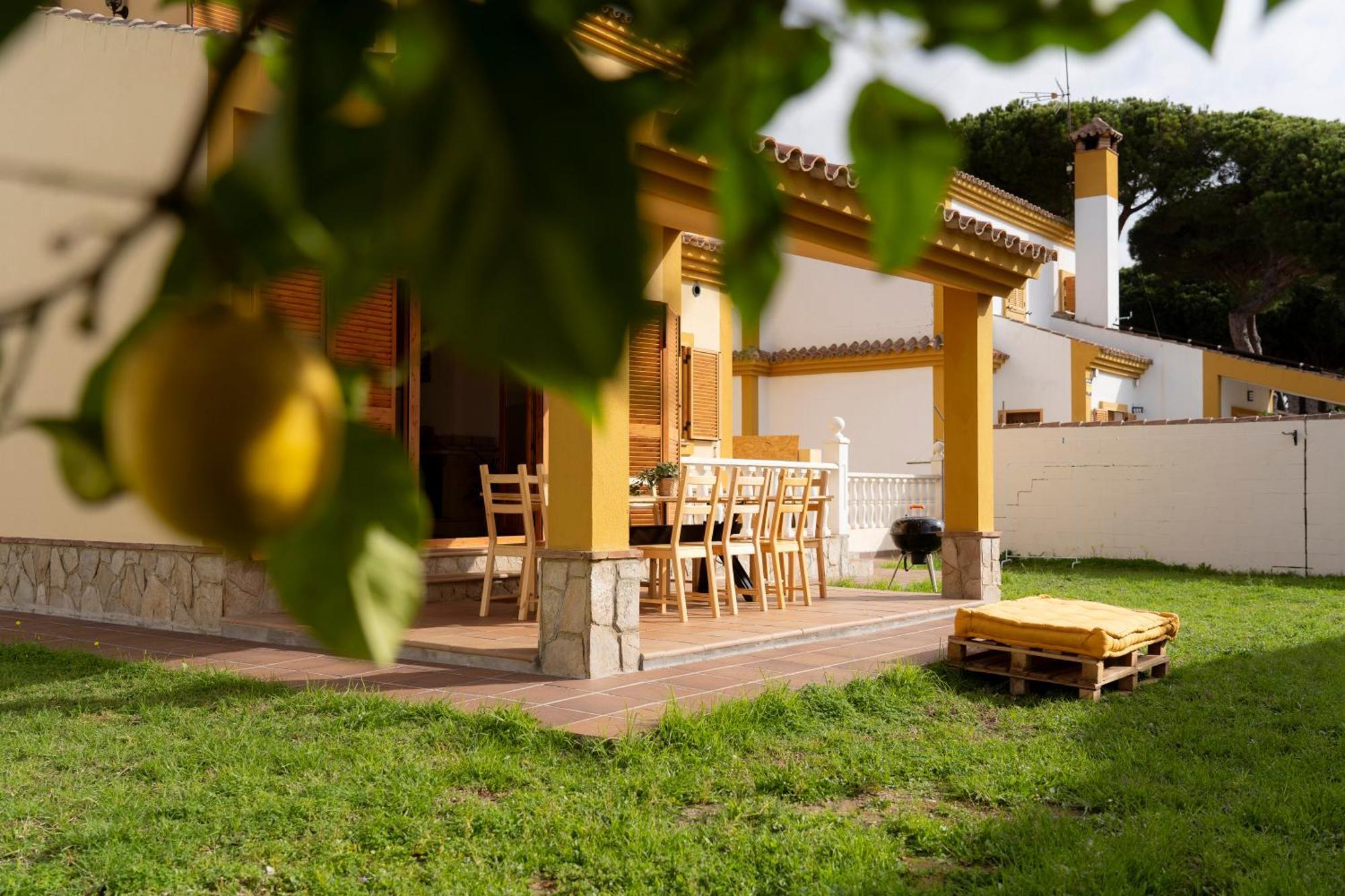 Namawa Surfhouse Hostel Chiclana de la Frontera Kültér fotó